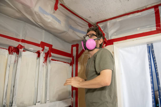 Environmental Consulting for Mold Prevention in Fairview, GA