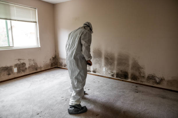 Best Forensic Mold Investigation  in Fairview, GA